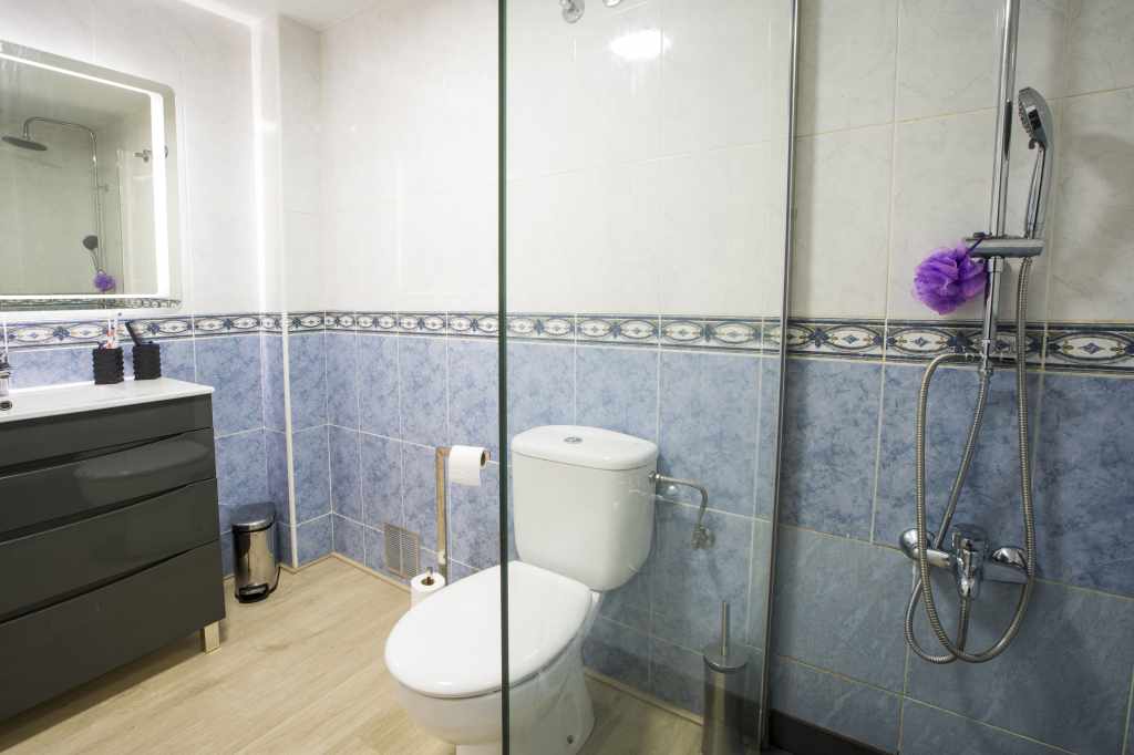 Baño completo con ducha, secador de pelo y toallas.