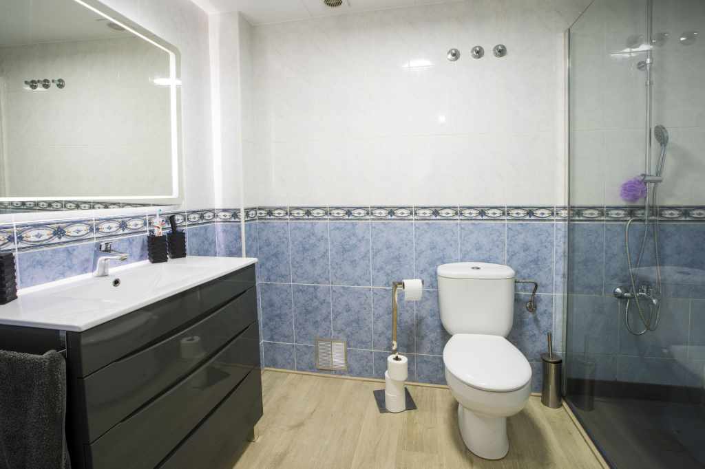 Baño completo con ducha, secador de pelo y toallas.